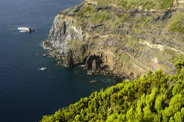 Penhasco costeiro dos Açores — Fotografia de Stock