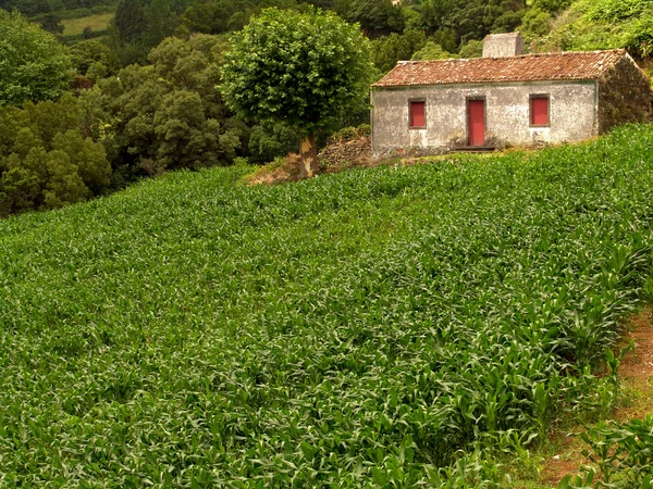 Casa — Foto de Stock