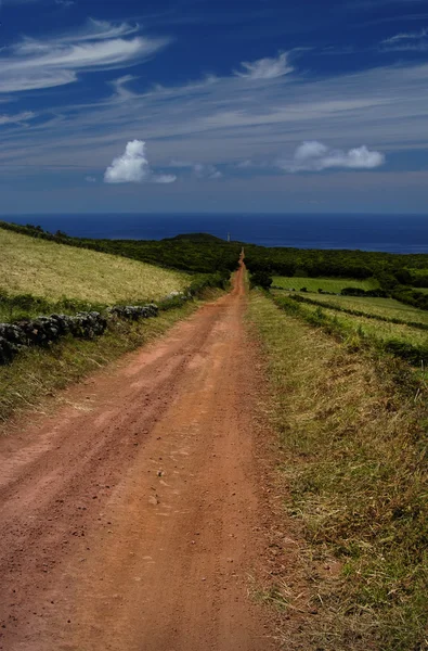 Azori-szigetek — Stock Fotó