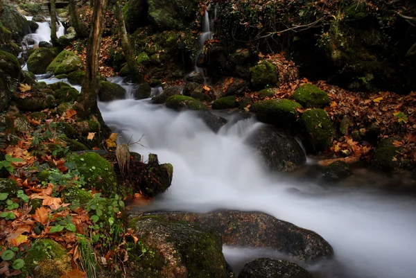 River — Stock Photo, Image