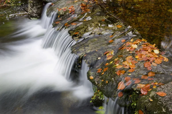 Cachoeira — Fotografia de Stock