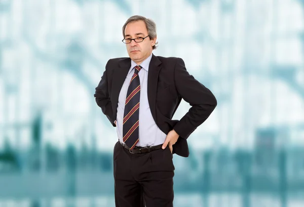 Mature business man portrait at the office — Stock Photo, Image