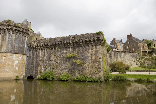 Fougeres. — Fotografia de Stock