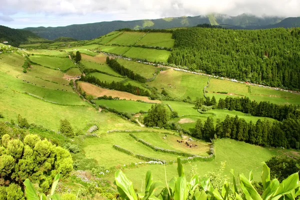 Ilha dos Açores — Fotografia de Stock