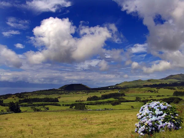 Azores peyzaj — Stok fotoğraf