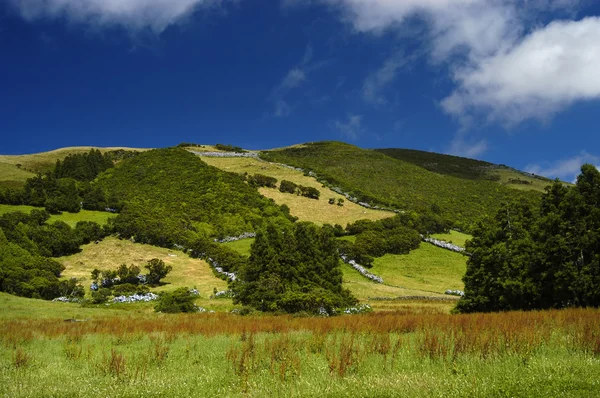 Azoren landschap — Stockfoto