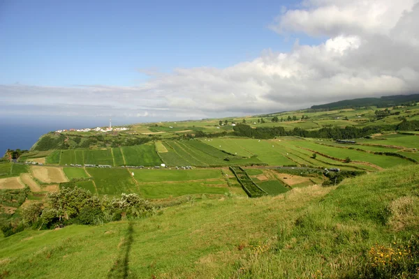 Azores campos verdes — Foto de Stock
