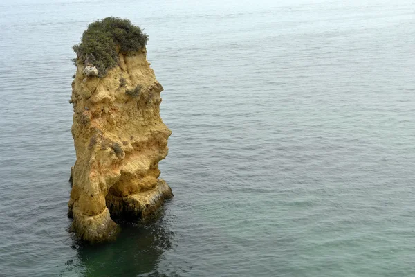 Gros rocher avec des plantes à l'océan — Photo