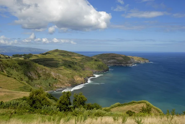 Coastal fields — Stock Photo, Image