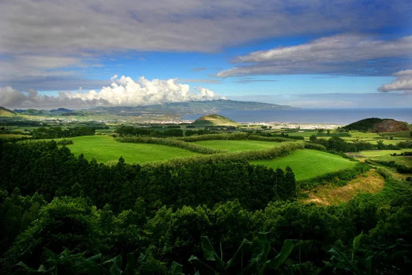 Açores — Fotografia de Stock