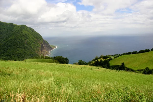 Campos en la costa de las Azores — Foto de Stock