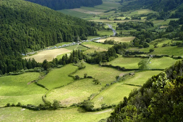 Azores — Foto de Stock