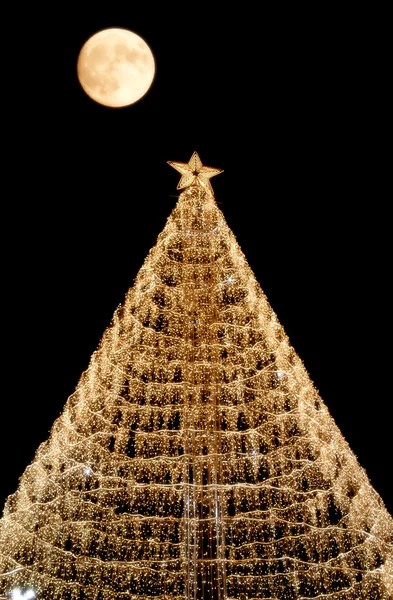 Christmas tree — Stock Photo, Image