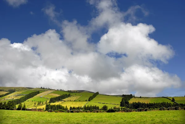 Azorerna typiska Visa på ön sao miguel — Stockfoto