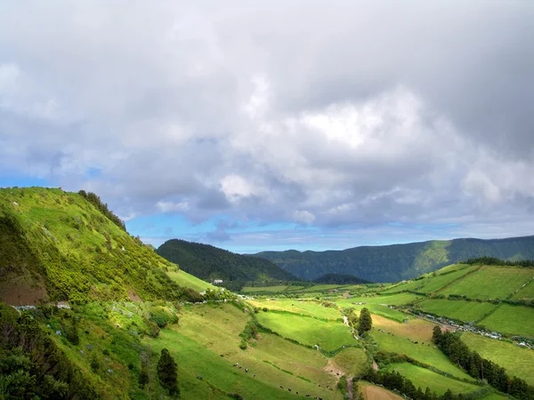 Campos verdes dos Açores — Fotografia de Stock