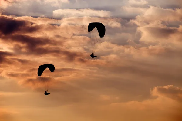 Paragliding — Stock Photo, Image