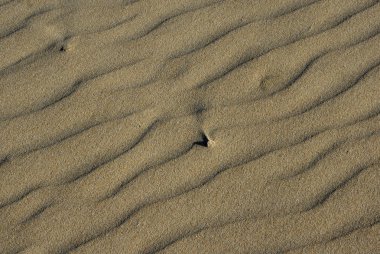 çöl kumları dalgalanmalar ile detay