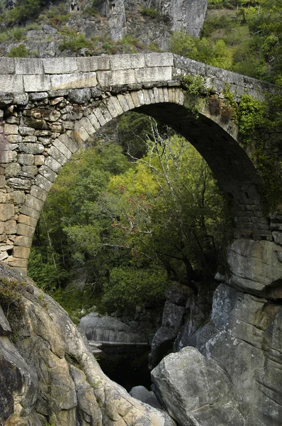 Puente — Foto de Stock