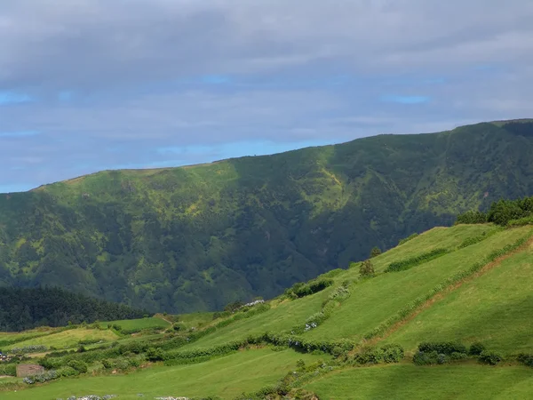 Verde — Foto de Stock