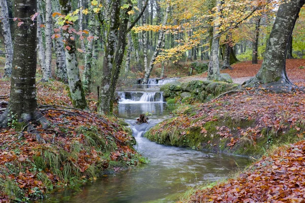 National park — Stock Photo, Image