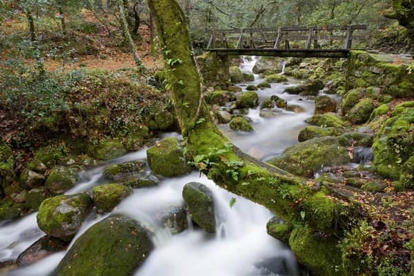 Waterfall — Stock Photo, Image