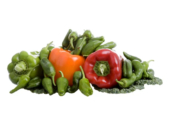 Peppers — Stock Photo, Image