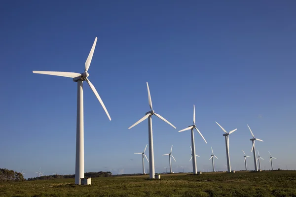 Wind turbines — Stock Photo, Image