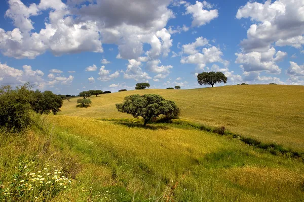 Alentejo — Stockfoto