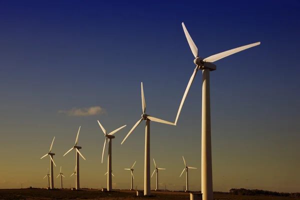 Turbine eoliene — Fotografie, imagine de stoc