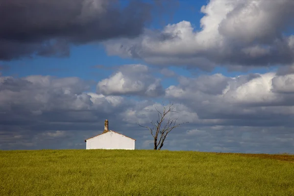 Kır evi — Stok fotoğraf