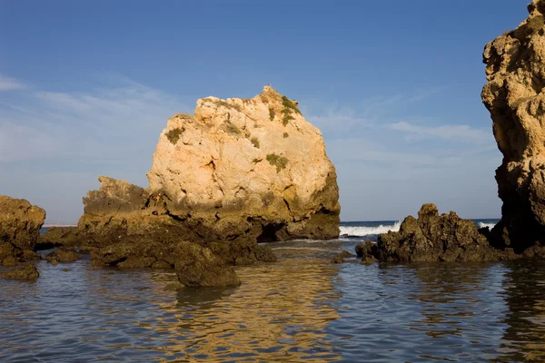 Beach — Stock Photo, Image