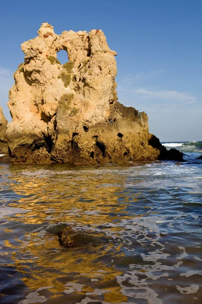 Beach — Stock Photo, Image