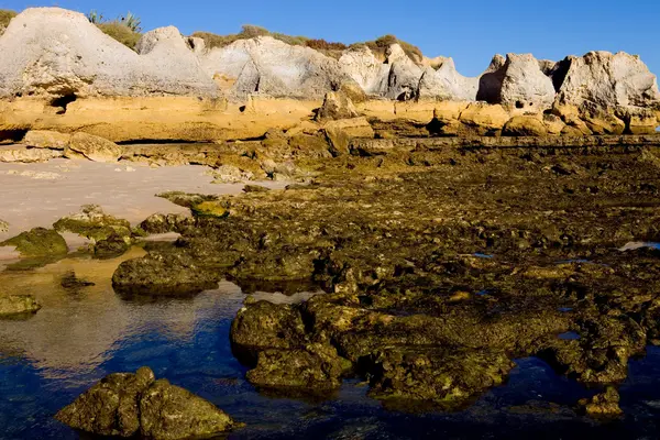 Algarve Przewodniczący — Zdjęcie stockowe