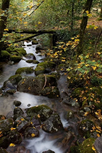 Fiume — Foto Stock