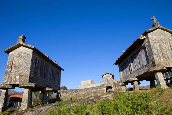 Espigueiros — Foto de Stock