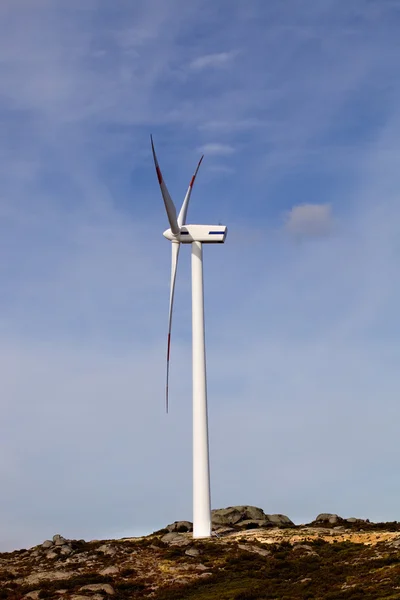 Turbina eólica — Foto de Stock