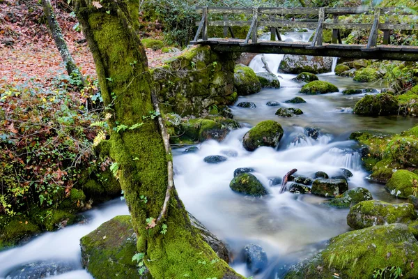 Rzeka wodospad w Portugalii park narodowy geres — Zdjęcie stockowe