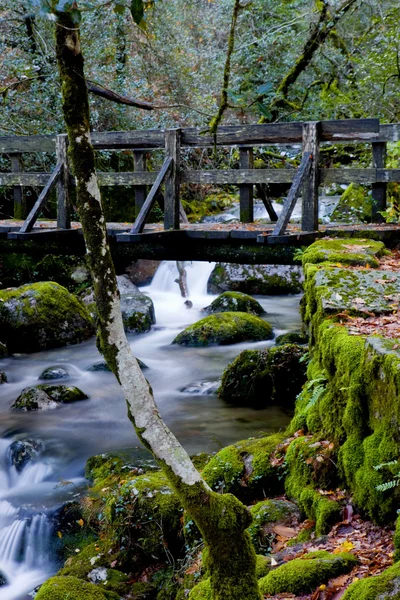 Waterfall — Stock Photo, Image