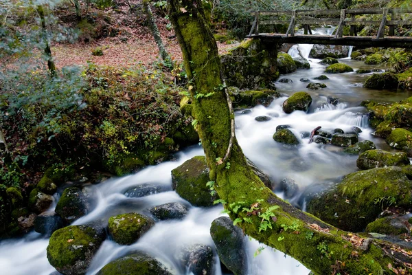 Autumn — Stock Photo, Image