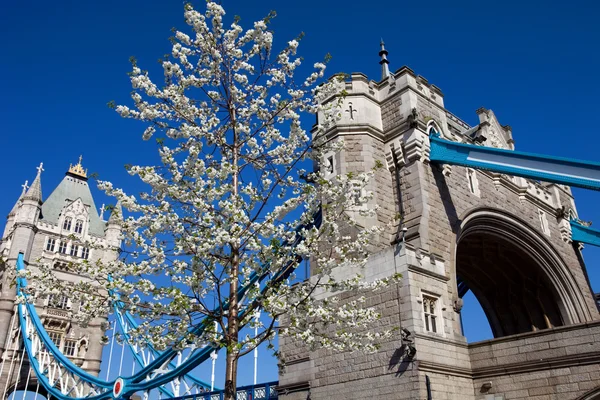 Tower bridge — Stock Photo, Image