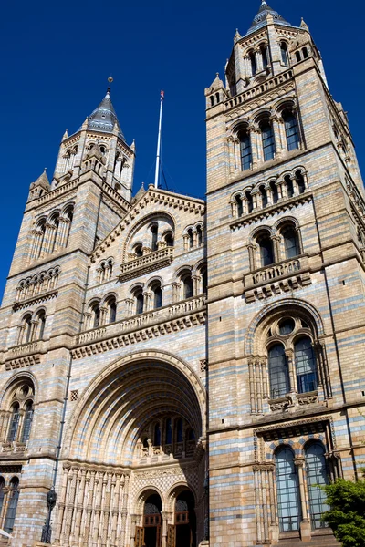 Museum natural history — Stock Photo, Image