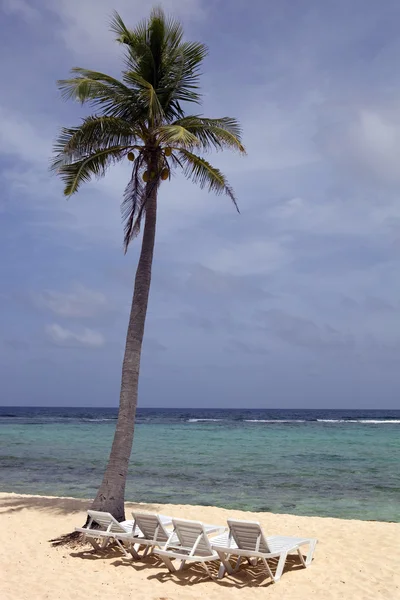 Resort detail at the caribbean sea — Stock Photo, Image