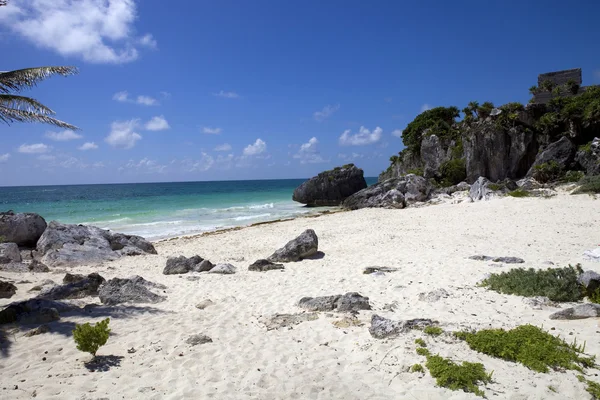 Mexico beach — Stock Photo, Image