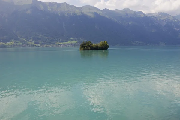 Швейцарський озеро острів — стокове фото