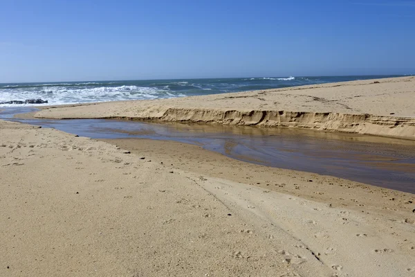 Beach — Stock Photo, Image