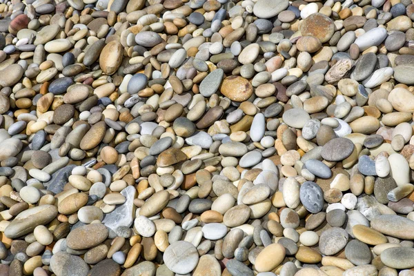 Piedra de guijarro — Foto de Stock