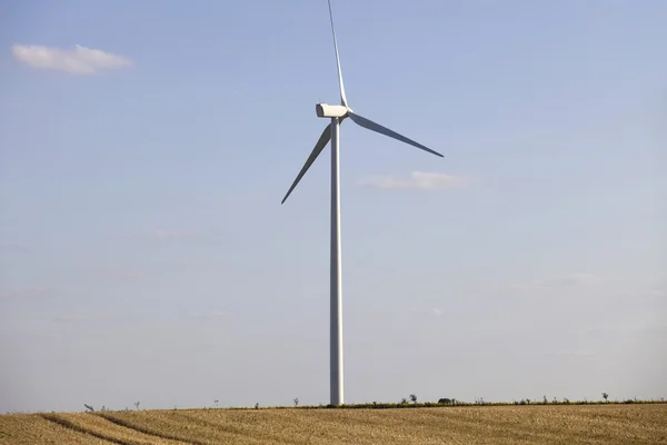 Windturbine — стоковое фото