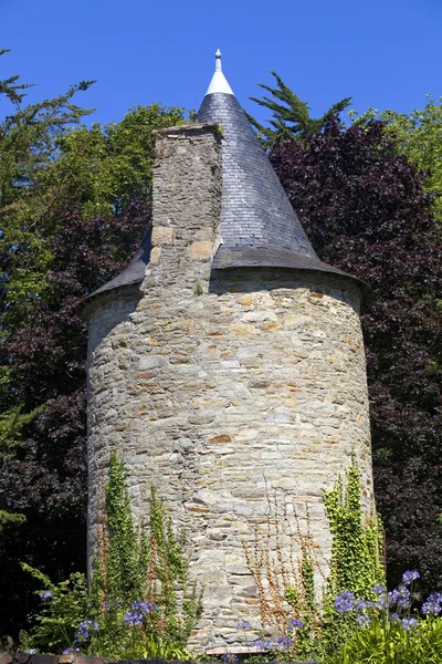 Windmolen — Stockfoto