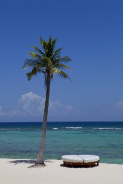 Meksika beach