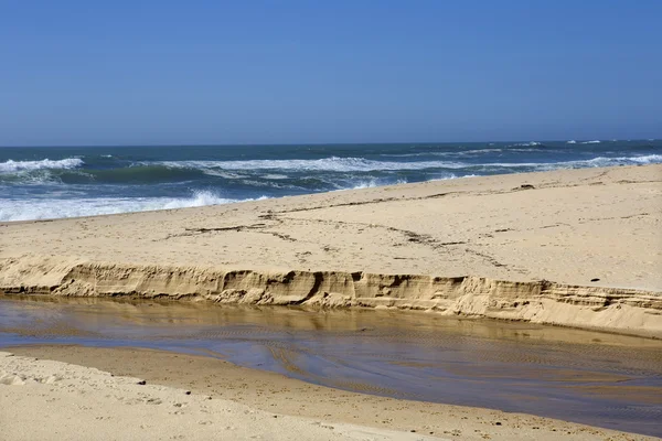 Beach — Stock Photo, Image